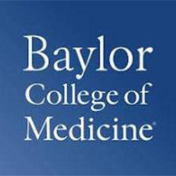 Baylor Logo